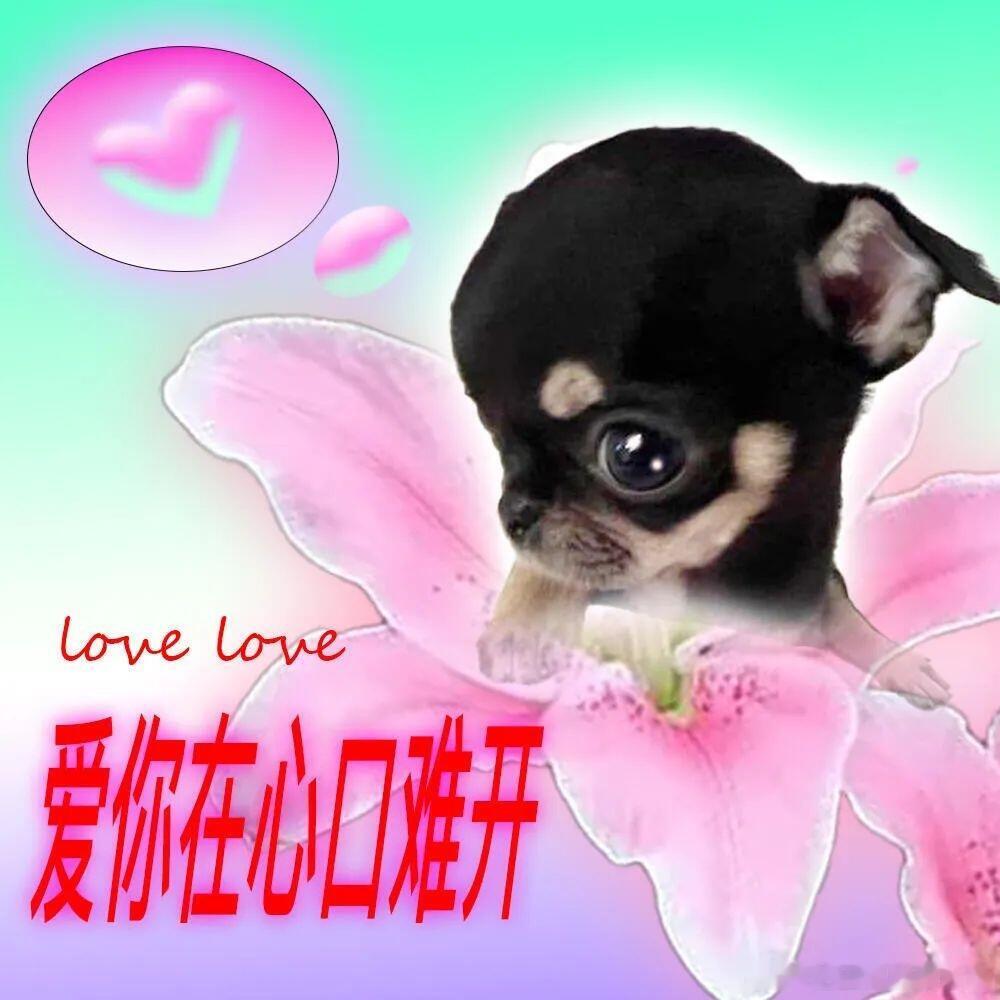 被美团闪购的品类惊到！美妆、数码、鲜花全都有，奖池福利还在叠加，谁也想不到闪购这