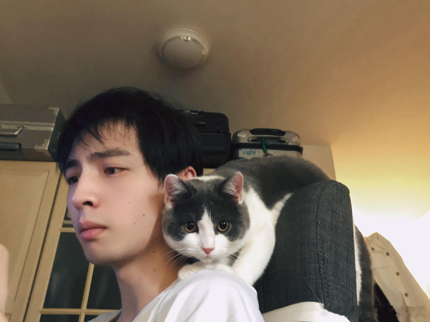 此时的猫和瓜瓜蛋嫩哇[亲亲][亲亲][亲亲] 