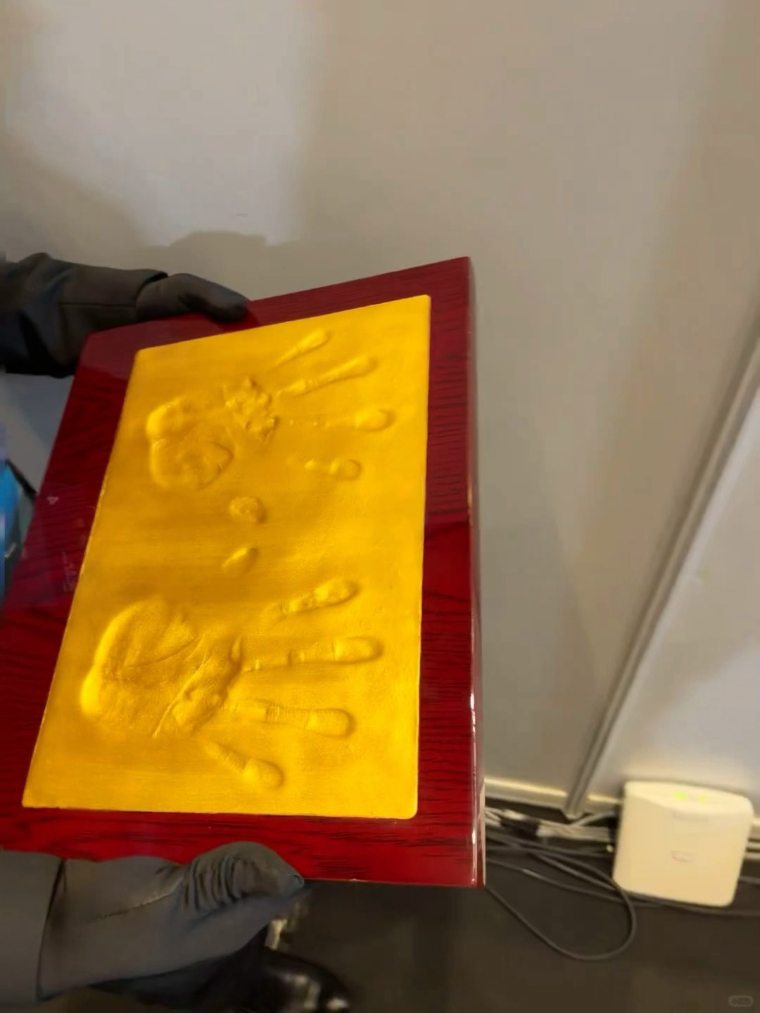 我们新科世界杯冠军的手印🐾 