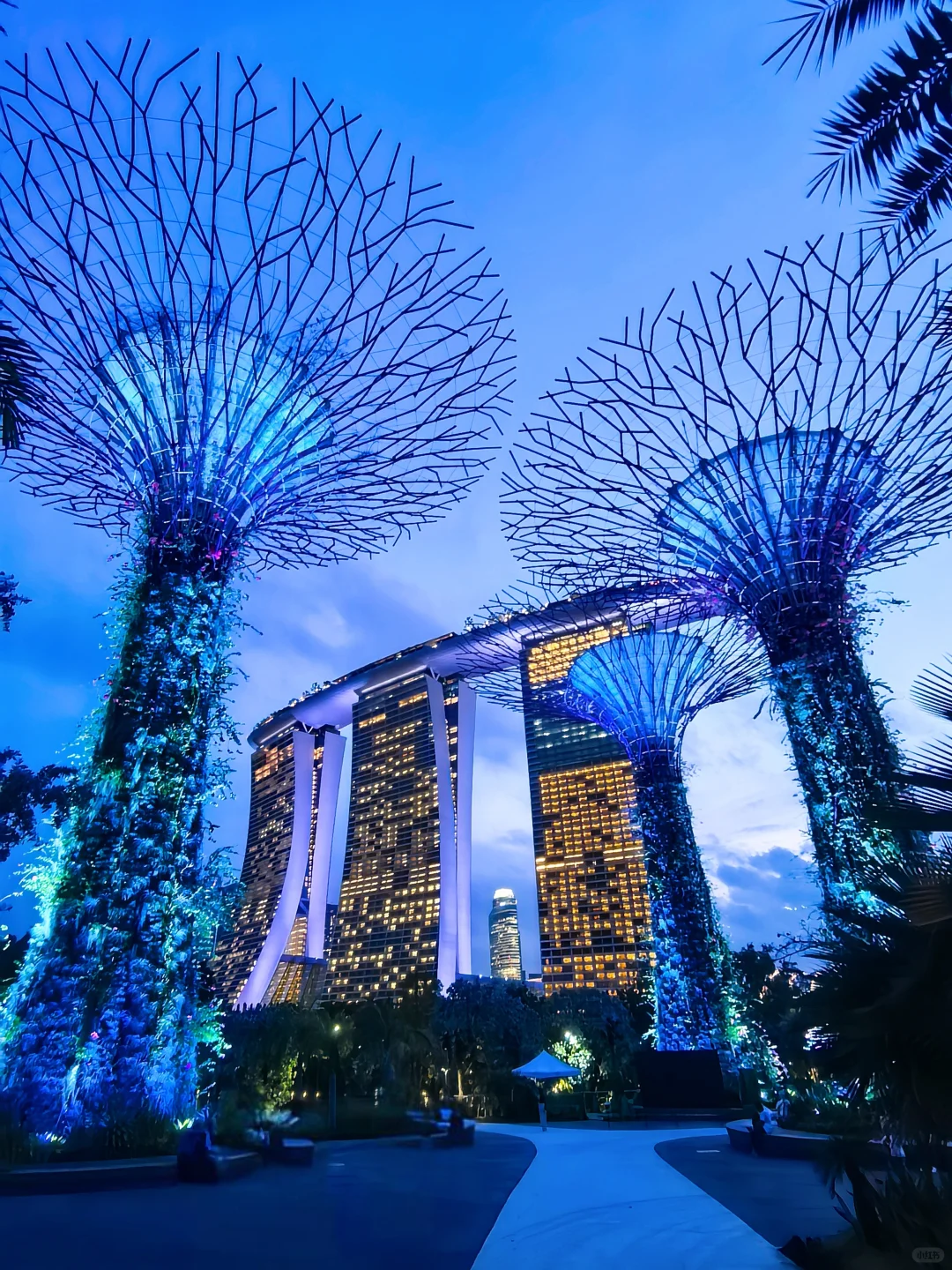 新加坡✅说说我的大实话❗️附3日游攻略