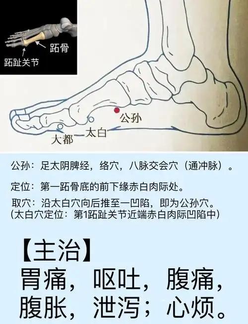 【八脉交会穴歌诀】释义（会背就会治病了）
公孙冲脉胃心胸，内关阴维下总同；
临泣