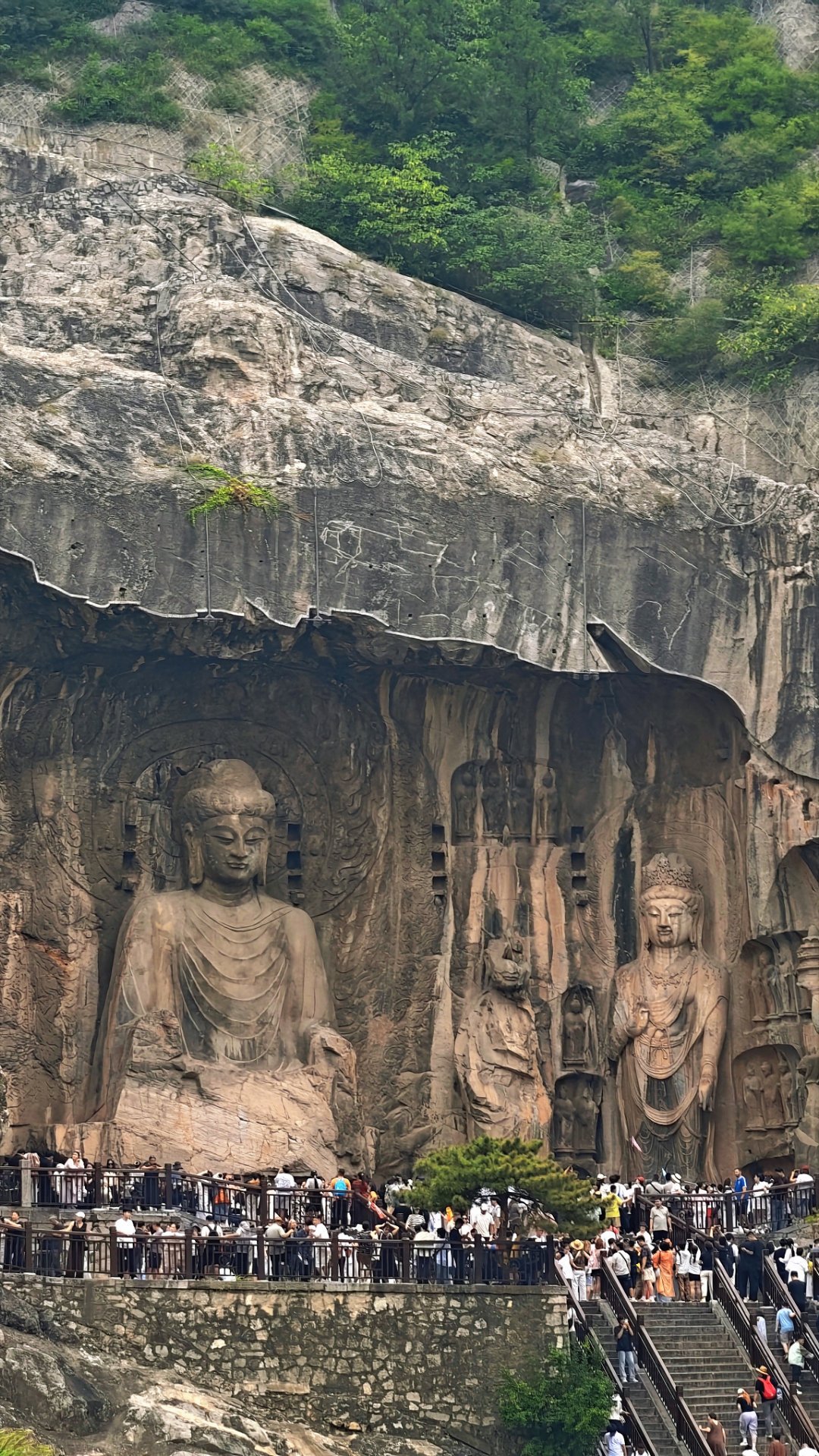 我用0.1秒的快门，妄图框住他凝望了千年的目光。龙门石窟[超话]龙门石窟 ​​​