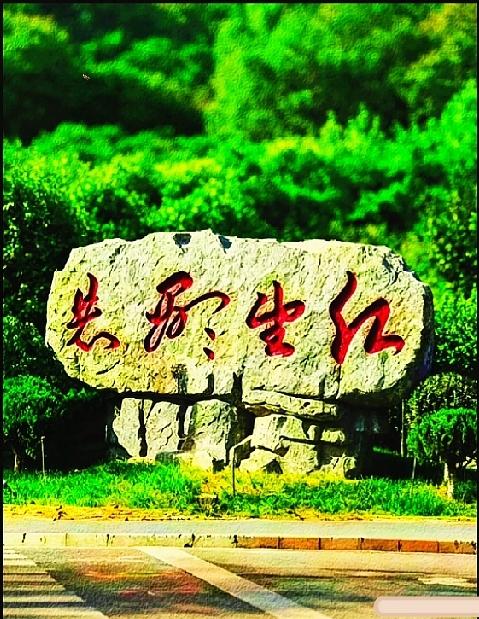 红底行书藏吉意，你能读懂这几个字吗？

石头上的行书笔画灵动飘逸，我盯着看了许久