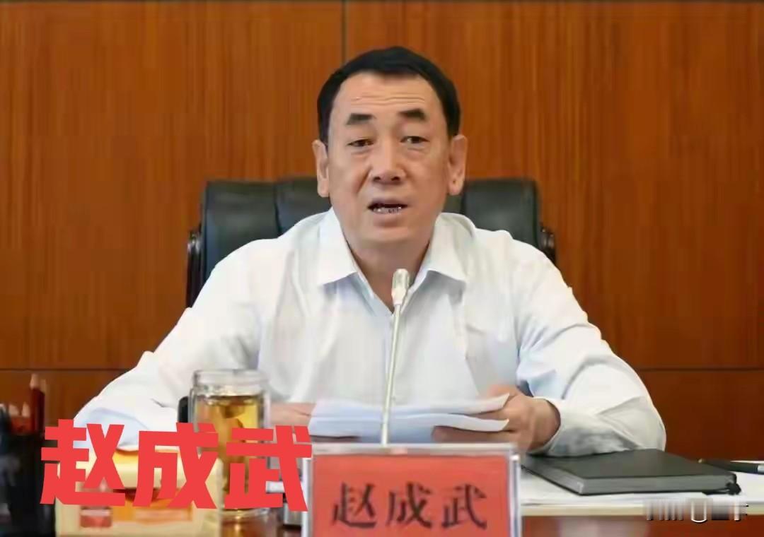 赵成武：全票当选检察长，500天后站上被告席
 
赵成武全票当选昆明市检察长那天