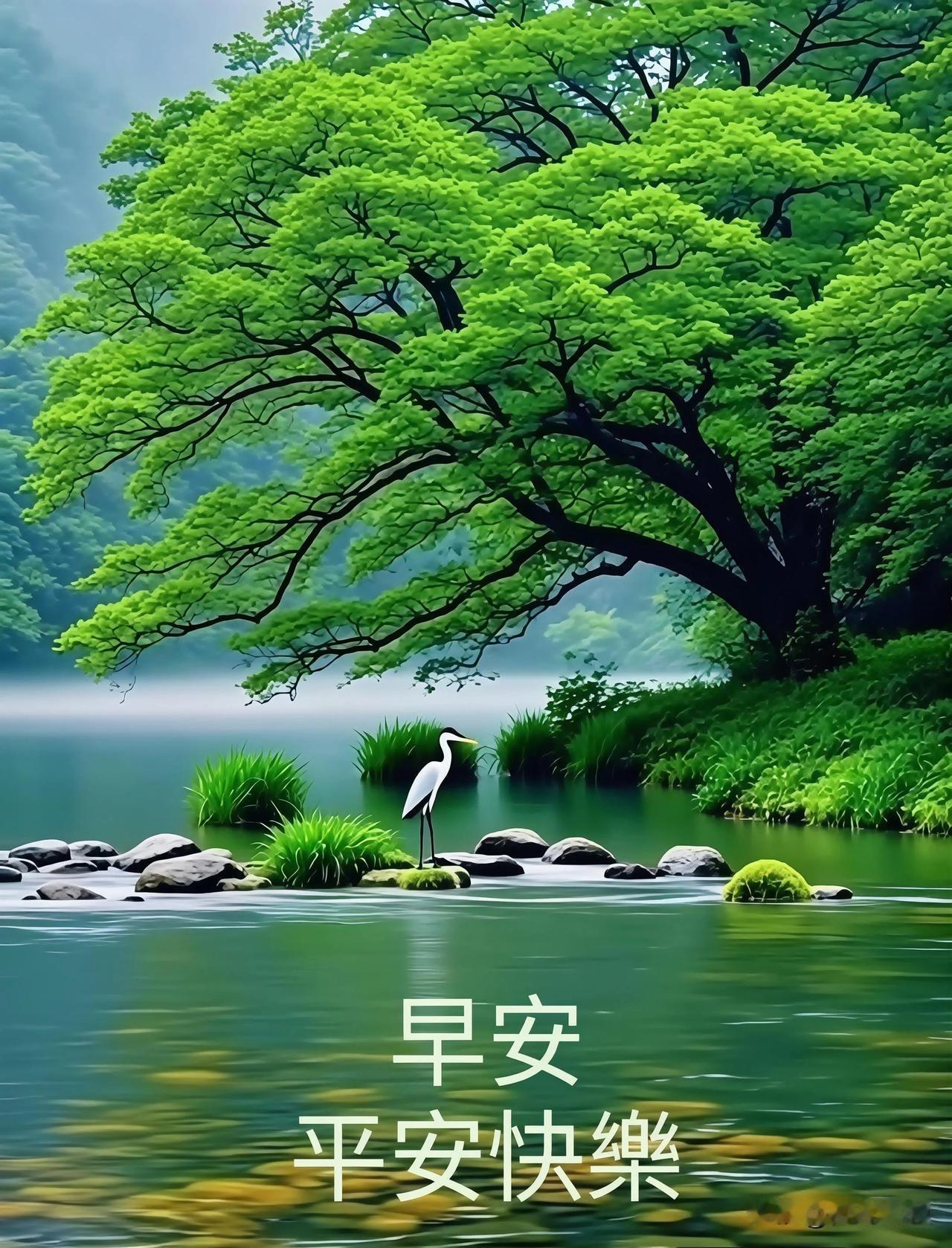 早安，带着热爱奔赴今日，平凡日子也会闪闪发光。