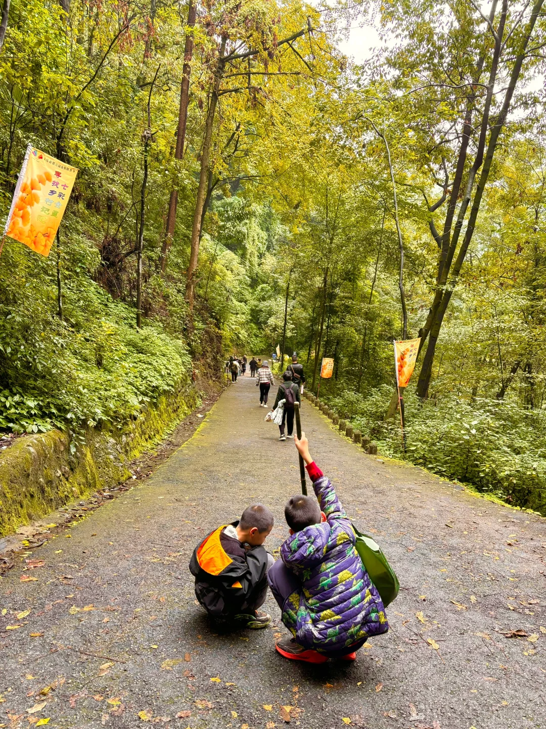 成都1.5h，大邑白岩寺轻徒步，赏千年银杏