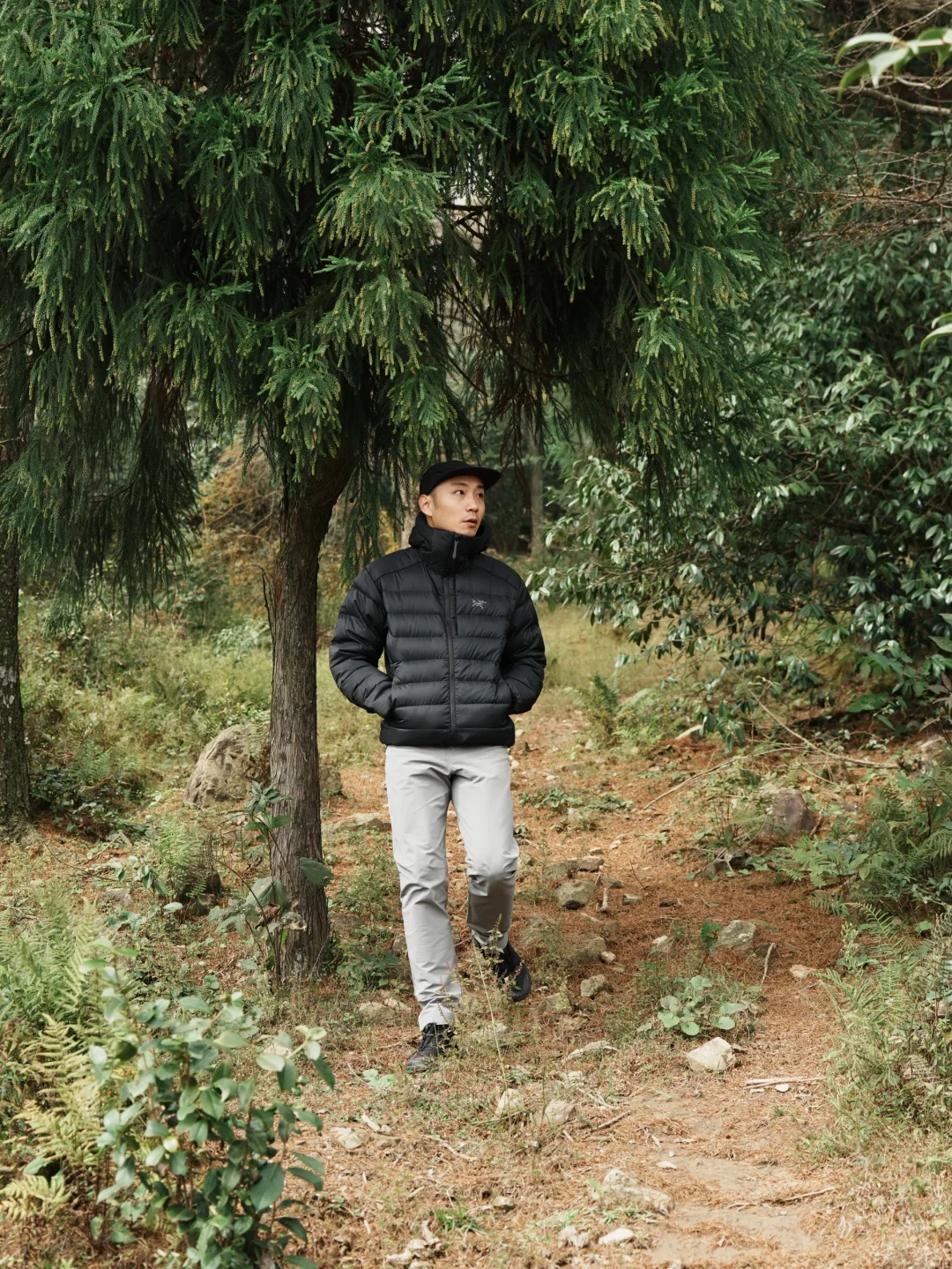 龙溪草甸|寻找到浙江高山中的无人“大草原”