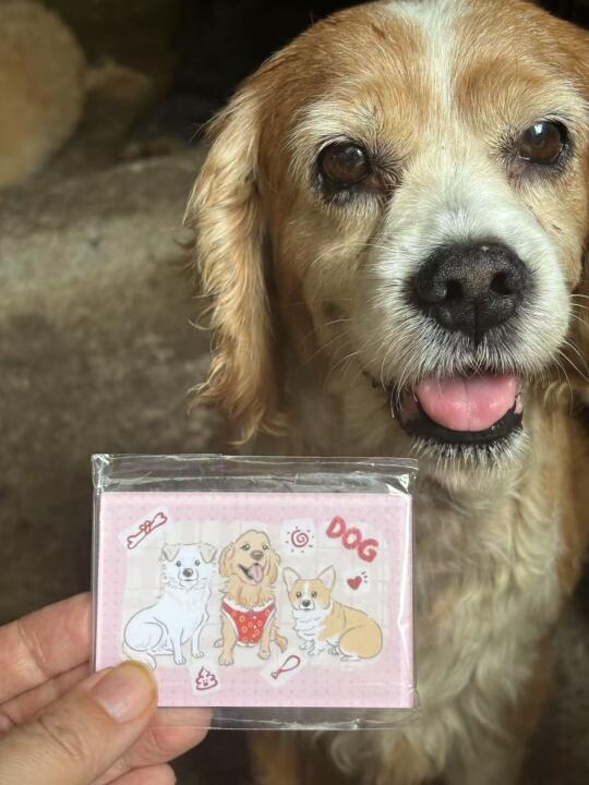 基地老baby来卖冰箱贴啦！