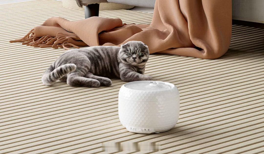 Diamond Pet Fountain|设计：Shenzhen Petsupe