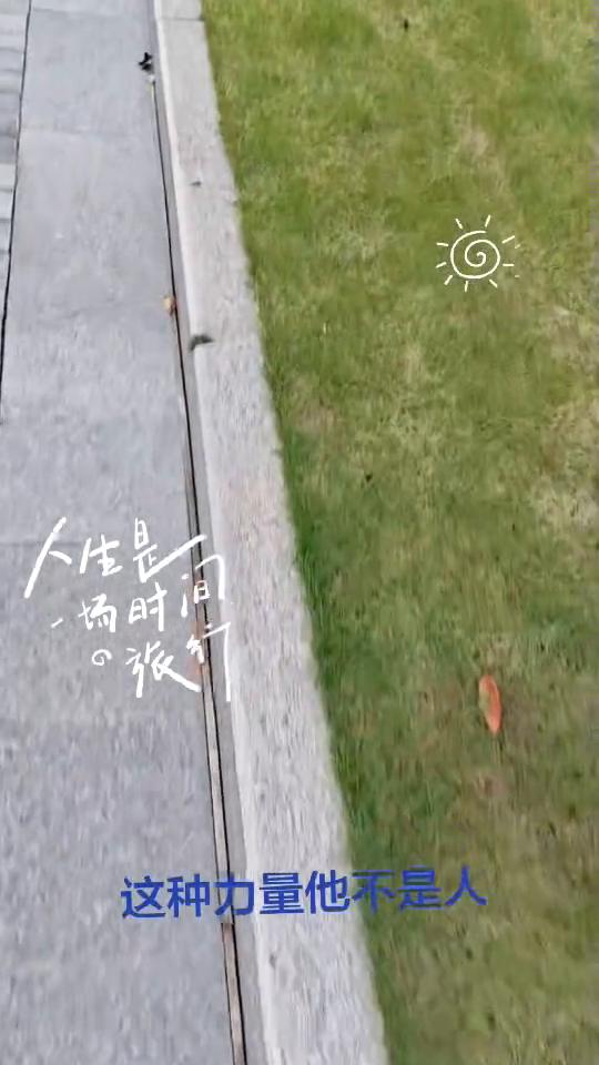 人生是一场时间旅行。
人为什么要积德行善？因为在未来的某一天，你遇到了困难，会有