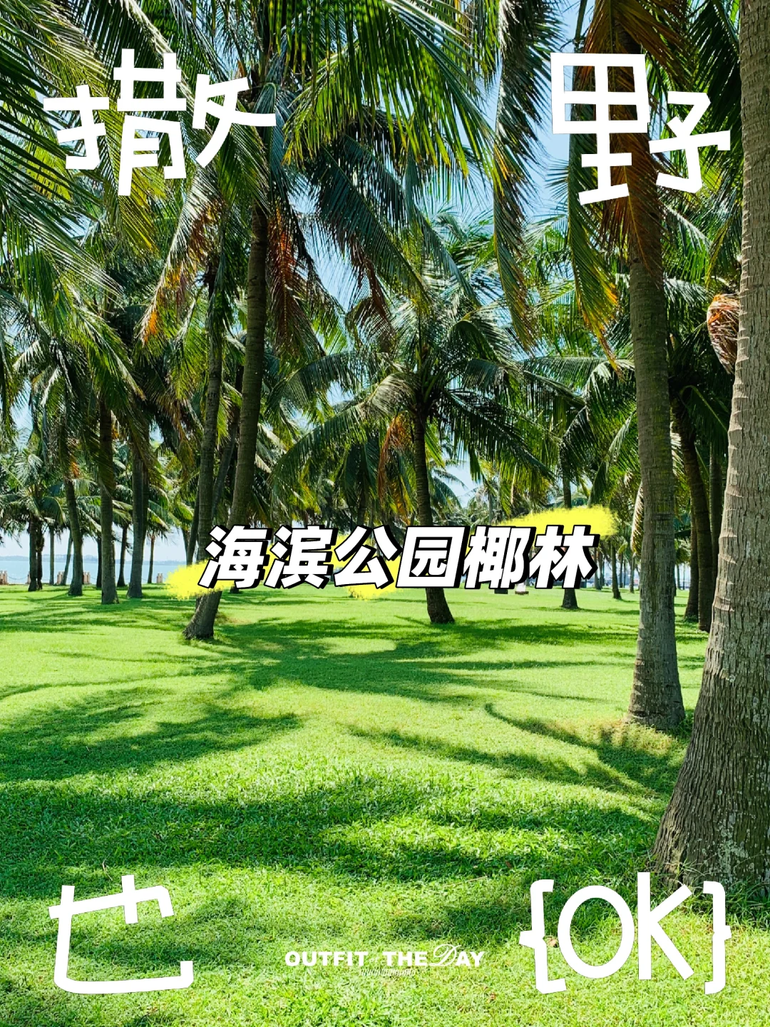 蓝天白云，椰林树影 吹海风 湛江海滨公园