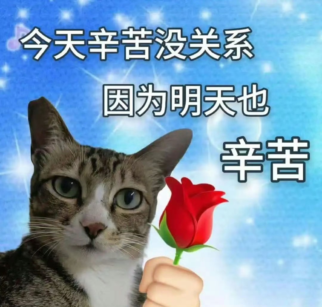 牛马哪配有真正的周末啊天一亮就得爬起床打工低精力人群的周末安排belike