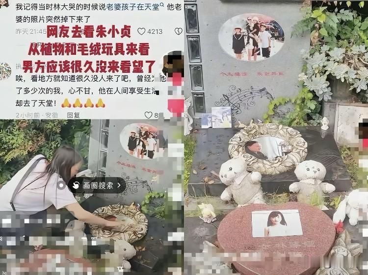 林生斌近况扎心，坟头草老高了，人家在澳洲早就儿女双全了。
说实话，看到林生斌现在