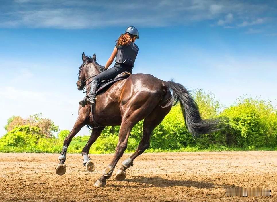 （原创）亡羊之思
原新疆农产品品牌建设与产销服务中心主任贺娇龙女士于2026年1