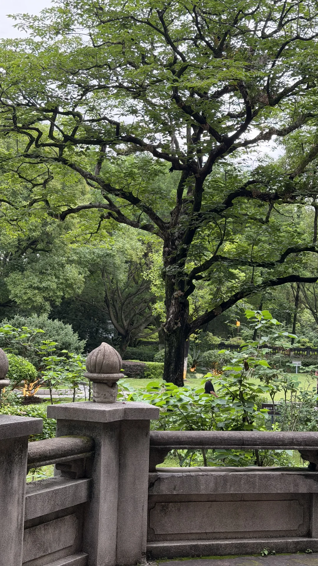 赣州｜满园春色关不住的公园🌳太治愈了