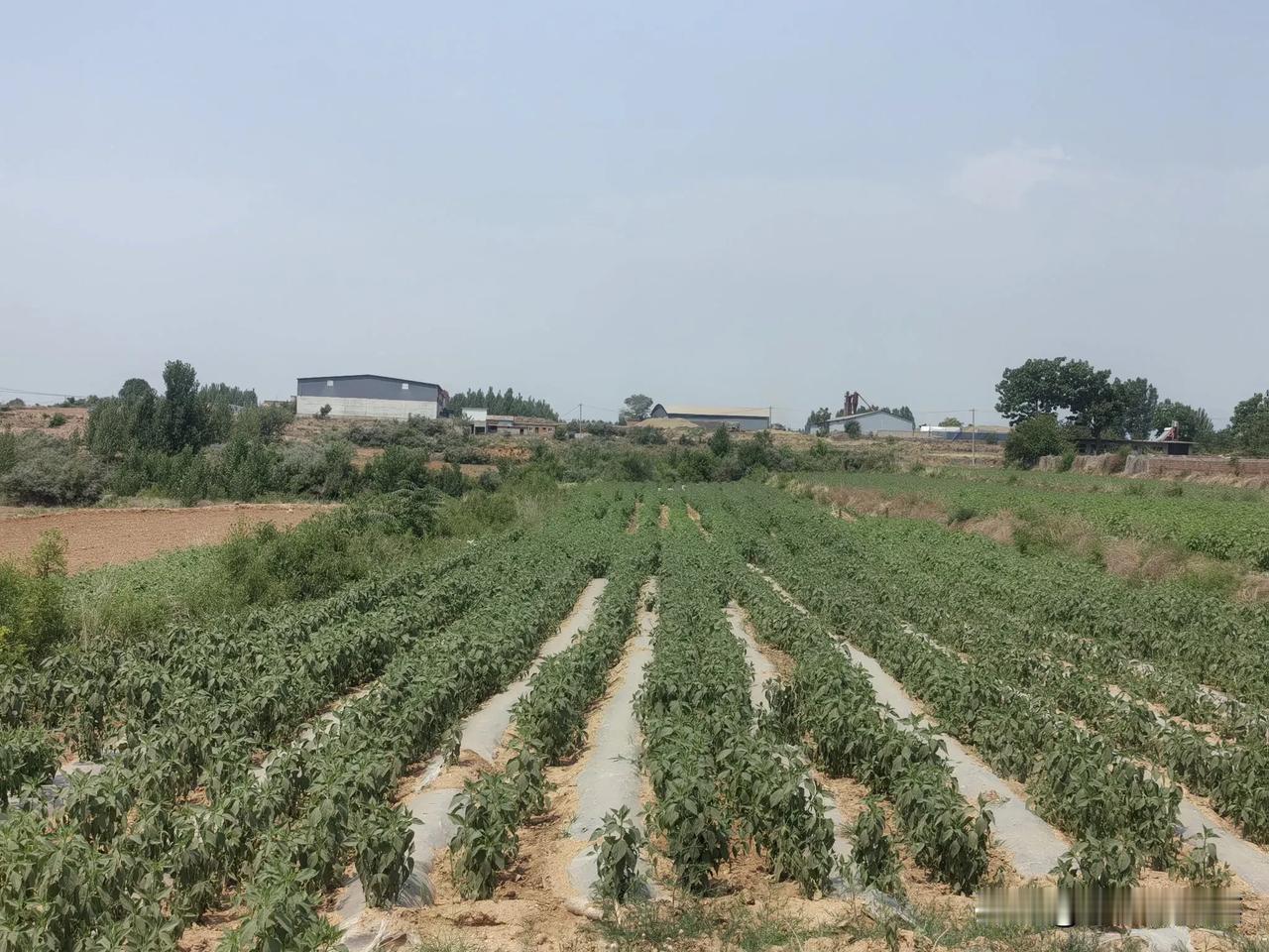 此生尽半
        孙栓桩

半百已过半百翁，
半如乞丐半如僧。
半生漂泊