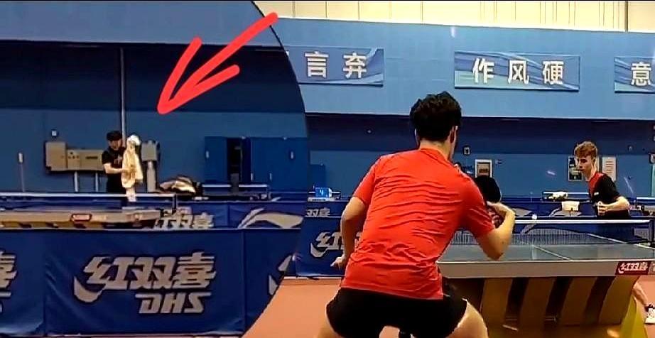 樊振东撕碎世界排名表那天，全网炸锅。你以为他扛不住压力要跑路，他却一个人拎着球拍