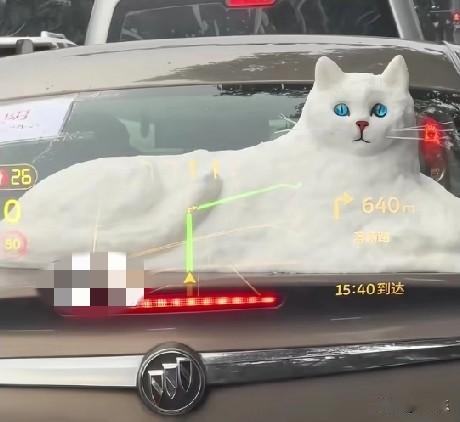 天呢！这是哪个“显眼包”？[捂脸]


1月20日，江苏无锡街头一辆车上“躺着”