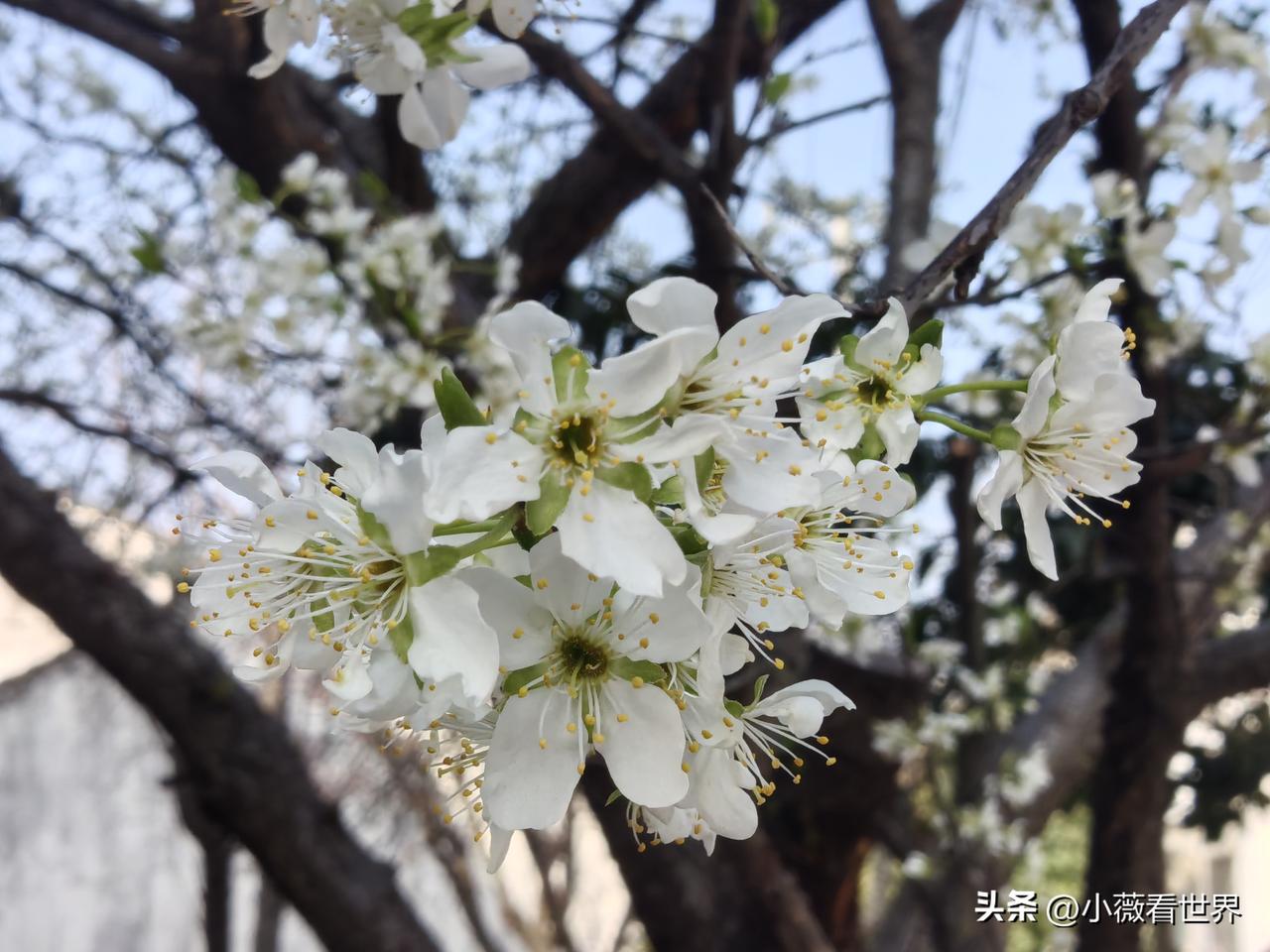 万万没想到，两个从小到大的发小老友，才六十出头，今年开始身体就都不合适出来看山看