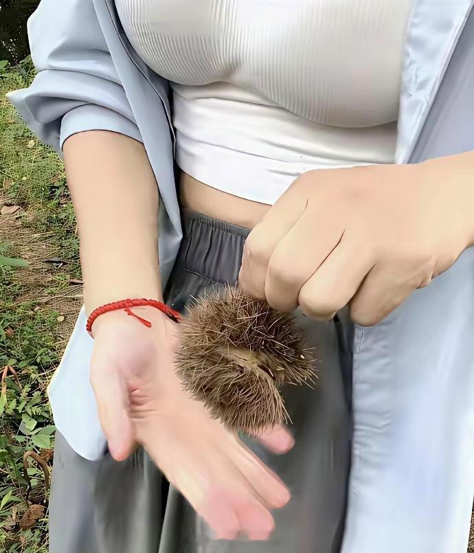 小姐姐非要带我爬山，上山摘的这是什么？ 