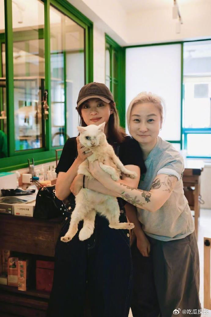 孙俪晒与猫猫合照孙俪说领养代替购买让爱不再流浪孙俪分享和猫猫的温馨合照，说领养代