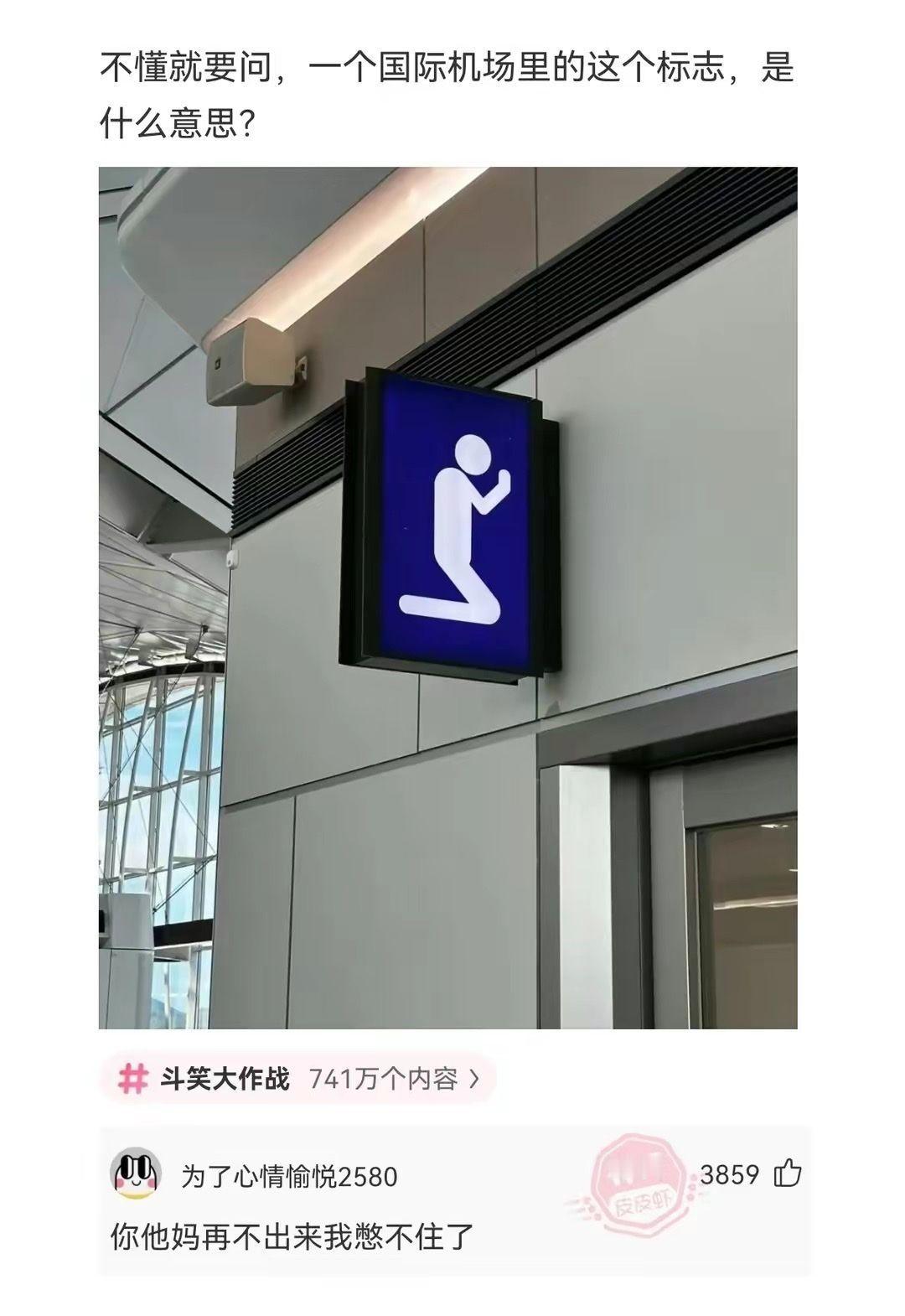 不懂就要问，一个国际机场里的这个标志，是什么意思？ 