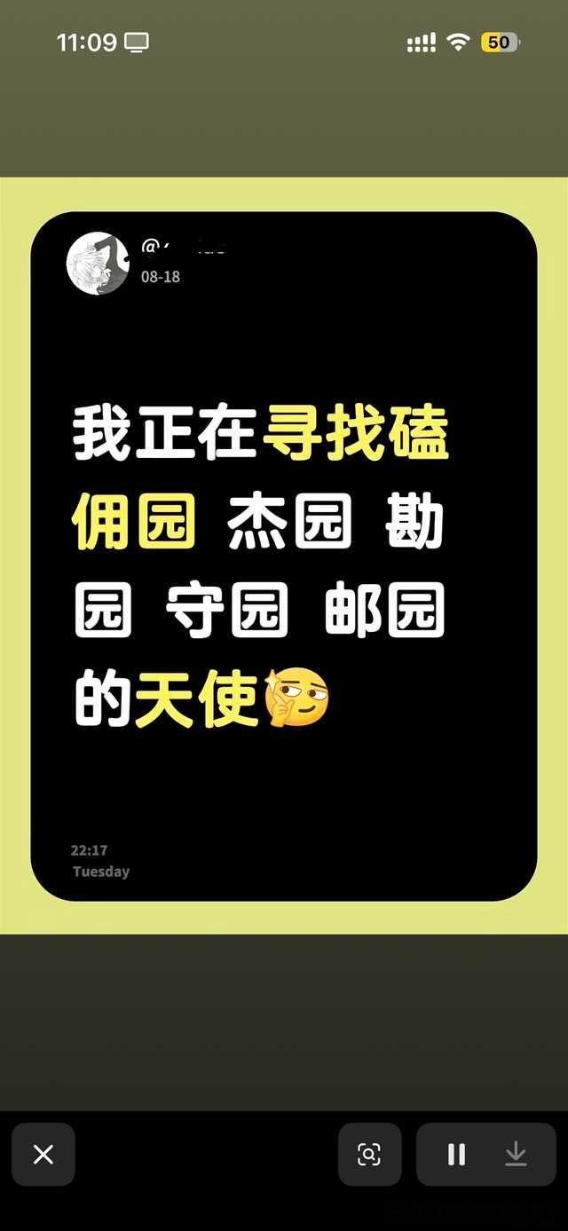 分享图片14736 