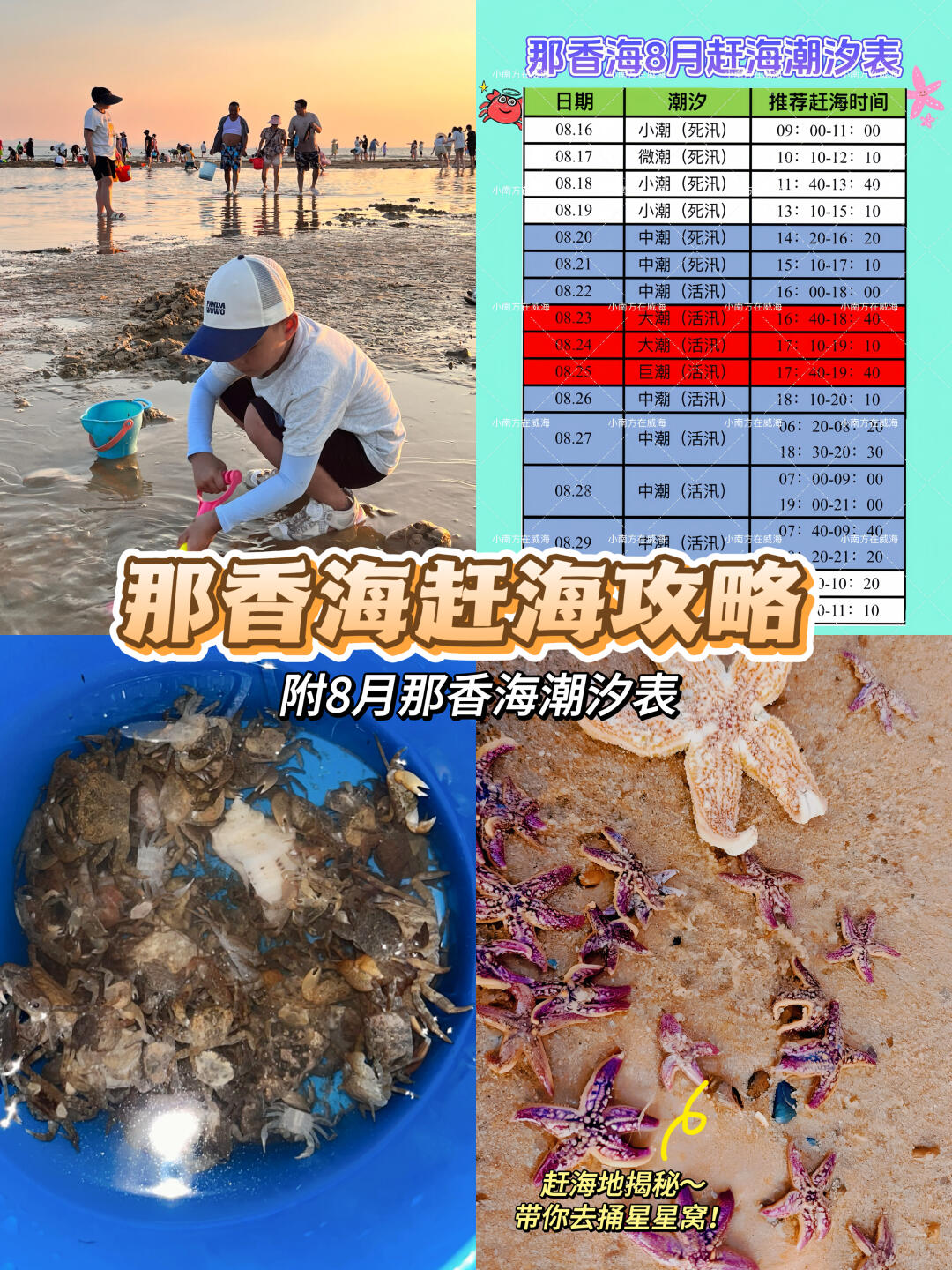 那香海赶海攻略！附那香海8月潮汐表！