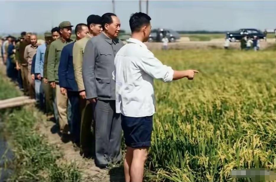 伟人下到田间地头查看农民的收成，和乡亲们唠家常，体恤田间劳作的辛苦，挂念百姓的温