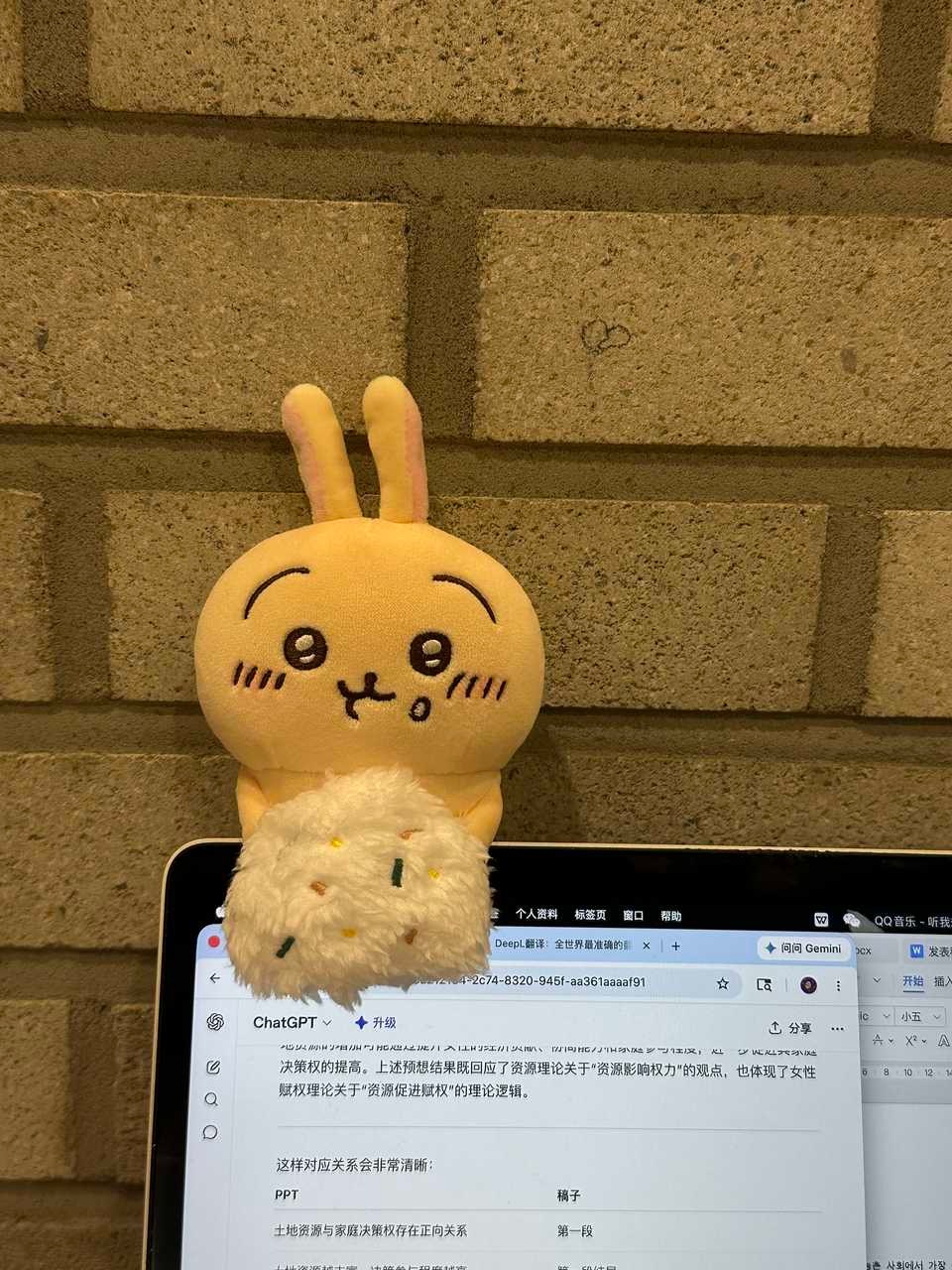 乌就这样萌萌的陪着妈妈写作业 （实物比图片更圆润