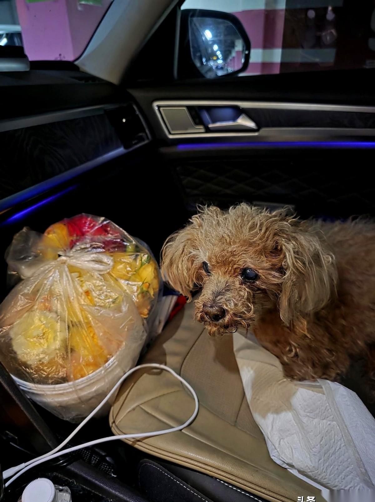 一手方向盘，一手托着个“热乎的蛋糕”，在高速上狂奔了50公里。
真的，我当时就是