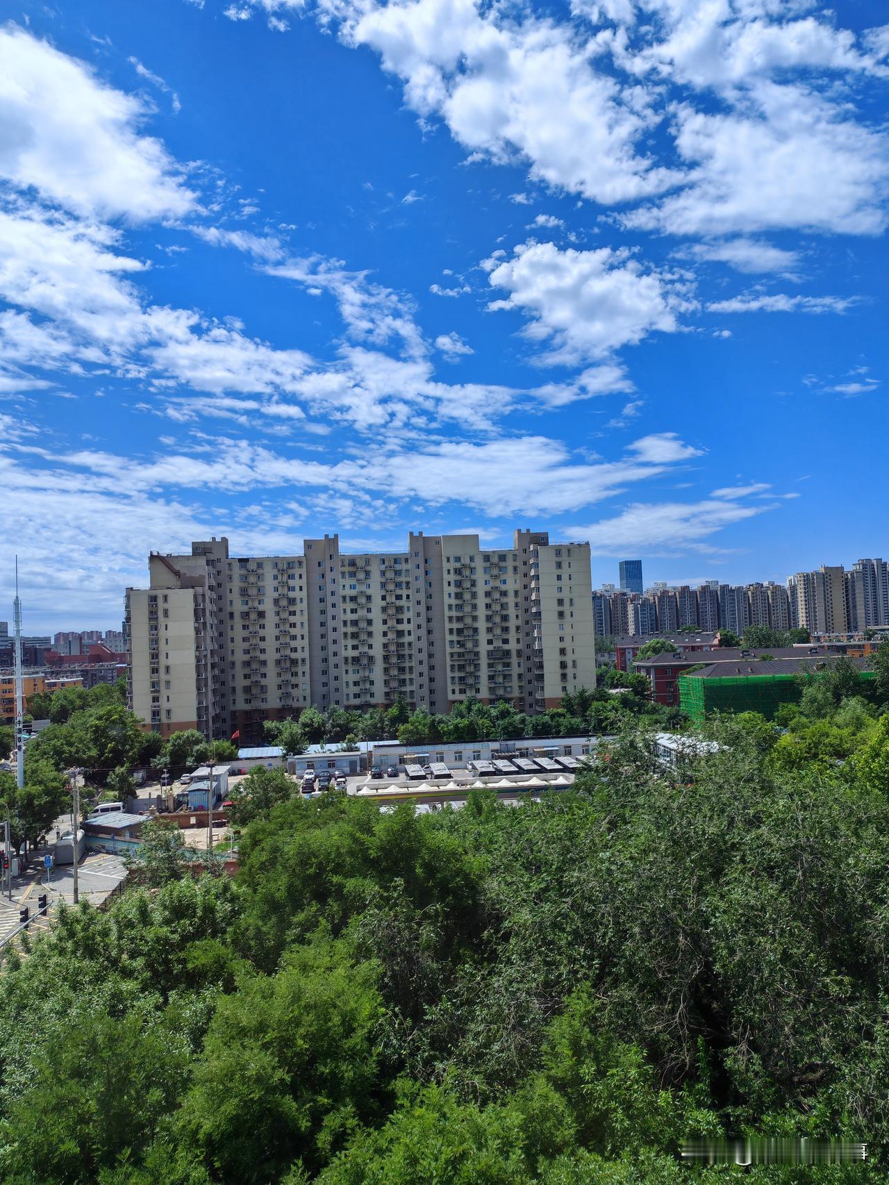 当然
我是老财迷
为什么不捡
又不犯法
人缺什么
会忌讳什么
但农民很实用
我出