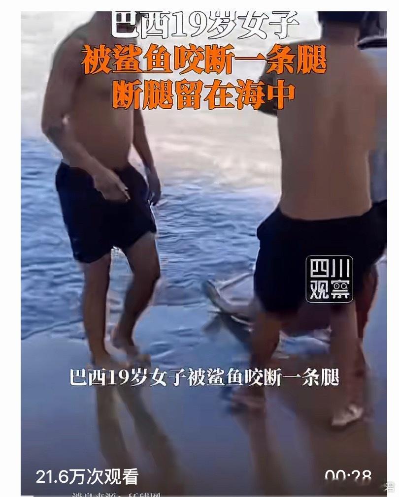 巴西19岁女子被鲨鱼咬断一条腿鲨鱼居然出现在浅海区，去海边的人真得小心些了。