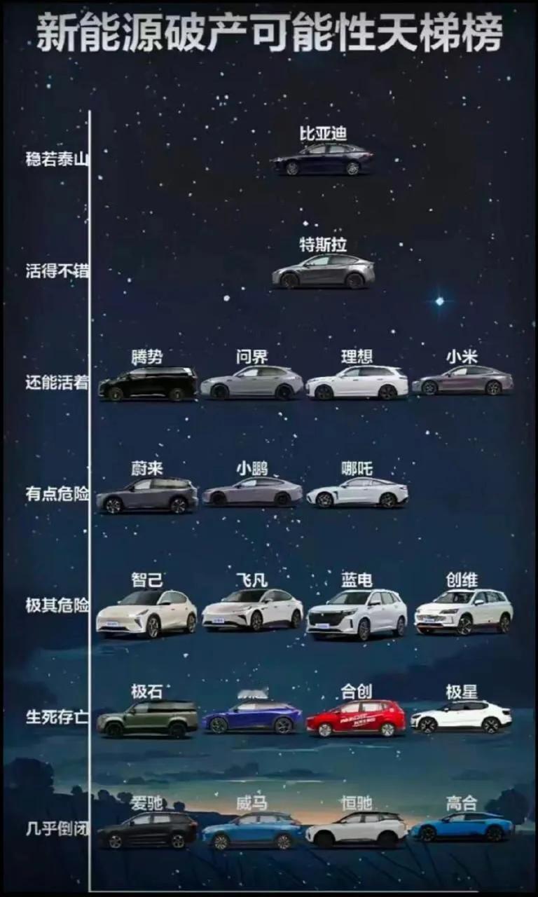 这图真野，腾势是比亚迪高端怎么倒，问界和蓝电是赛力斯（东风小康）的东风是国企原先