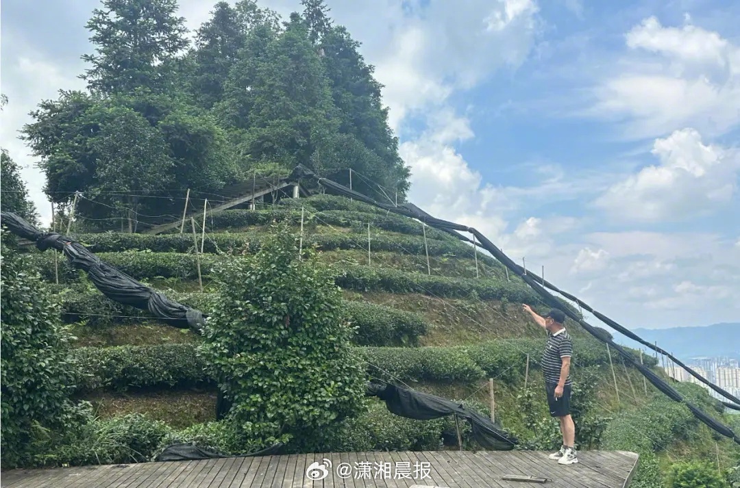 【“一年多不开工！”#男子交百万施工保证金怀疑被骗#，#当地回应男子交百万保证金