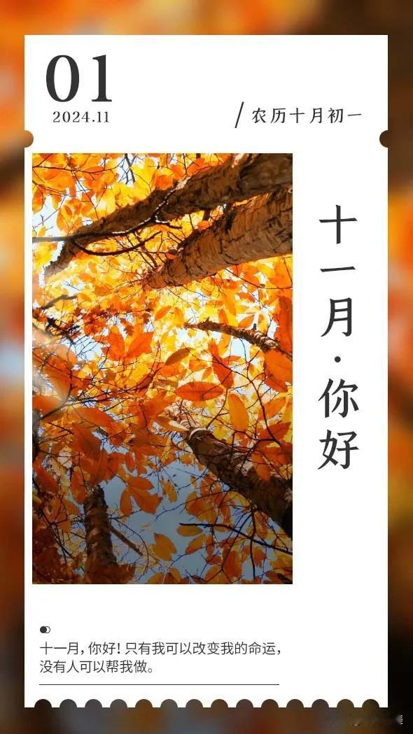 十月再见，十一月你好，和崭新的开始说你好，不为往事忧，只愿余生笑的更灿烂！愿接下