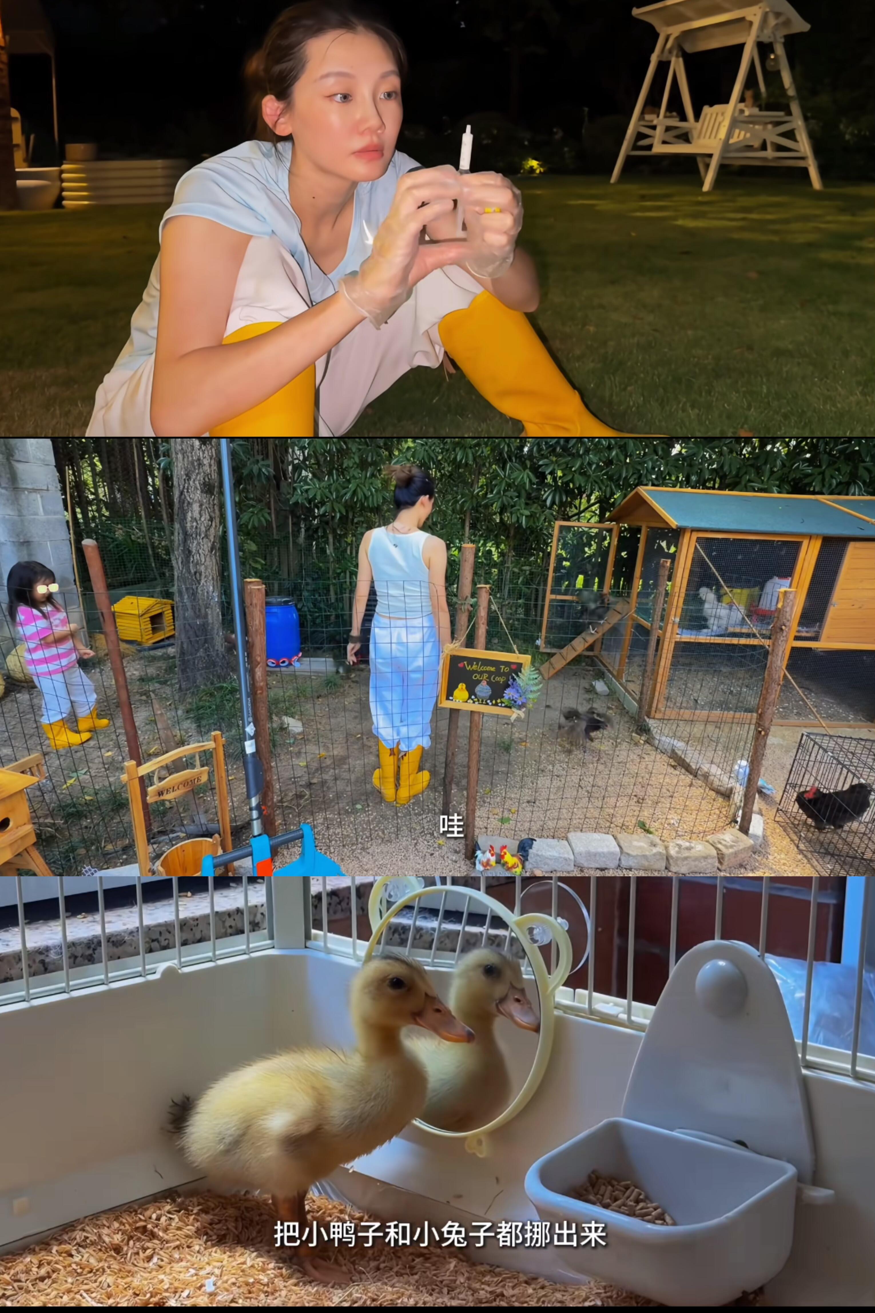 郑恺帮苗苗取名的浪漫寓意郑恺为苗苗菜园取名 “草田之上”四个字，是郑恺写给苗苗的