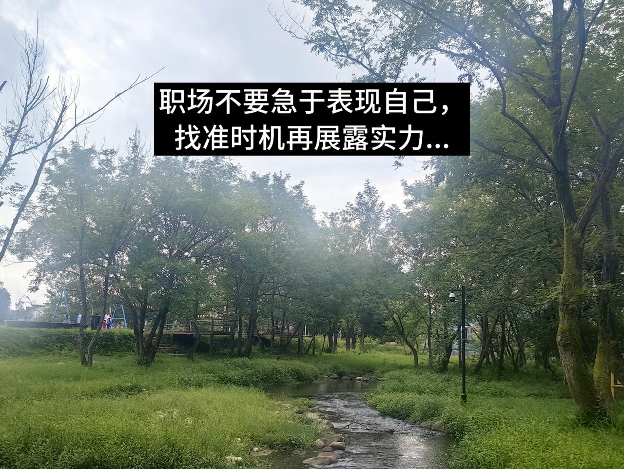 职场不要急于表现自己，找准时机再展露实力...

我刚上班那会儿，办公室里有个同