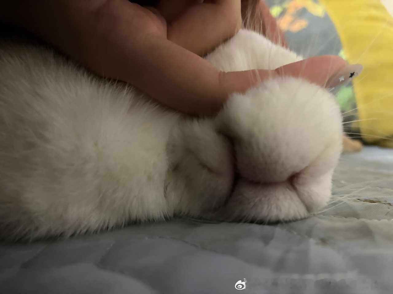 13818🐇【】喜欢泥的胸部 