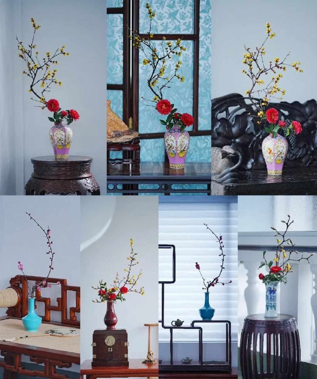 花开富贵长平安，新年万事胜去年
苏谪文人花
文人花
文人花课
文人花道
岁朝清供