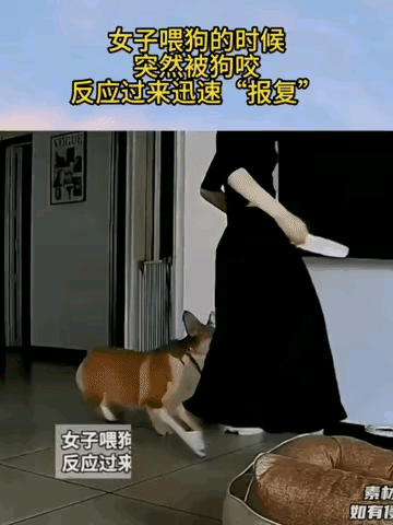 可以加八角桂皮香叶了
