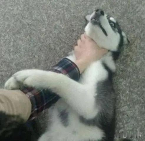 我们能掐死日本吗？会不会被反制？

我国工具箱里有很多东西是一定的，但是，也不要