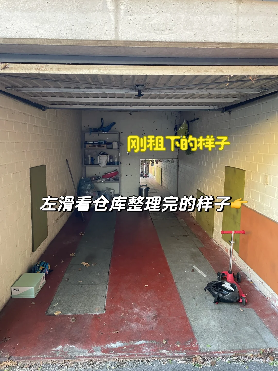 EcoPawPaw宠物创业日常｜今天仓库整理好了