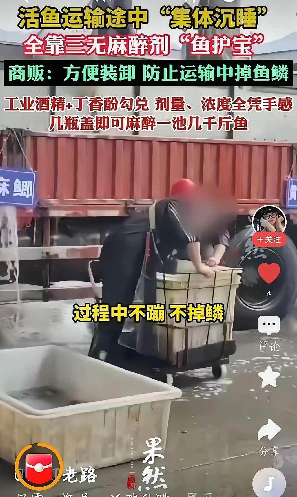 吃鱼的，估计想掀桌的心都有了！
重庆、山东、安徽多地水产市场被曝猫腻，商贩往鱼桶