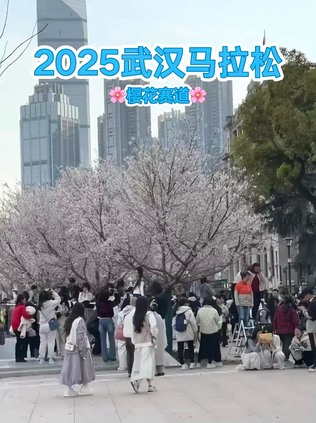 汉马赛道起点全是樱花🏃🏻‍♀️🏃🏻‍♂️2025武汉马拉松在3月23日就