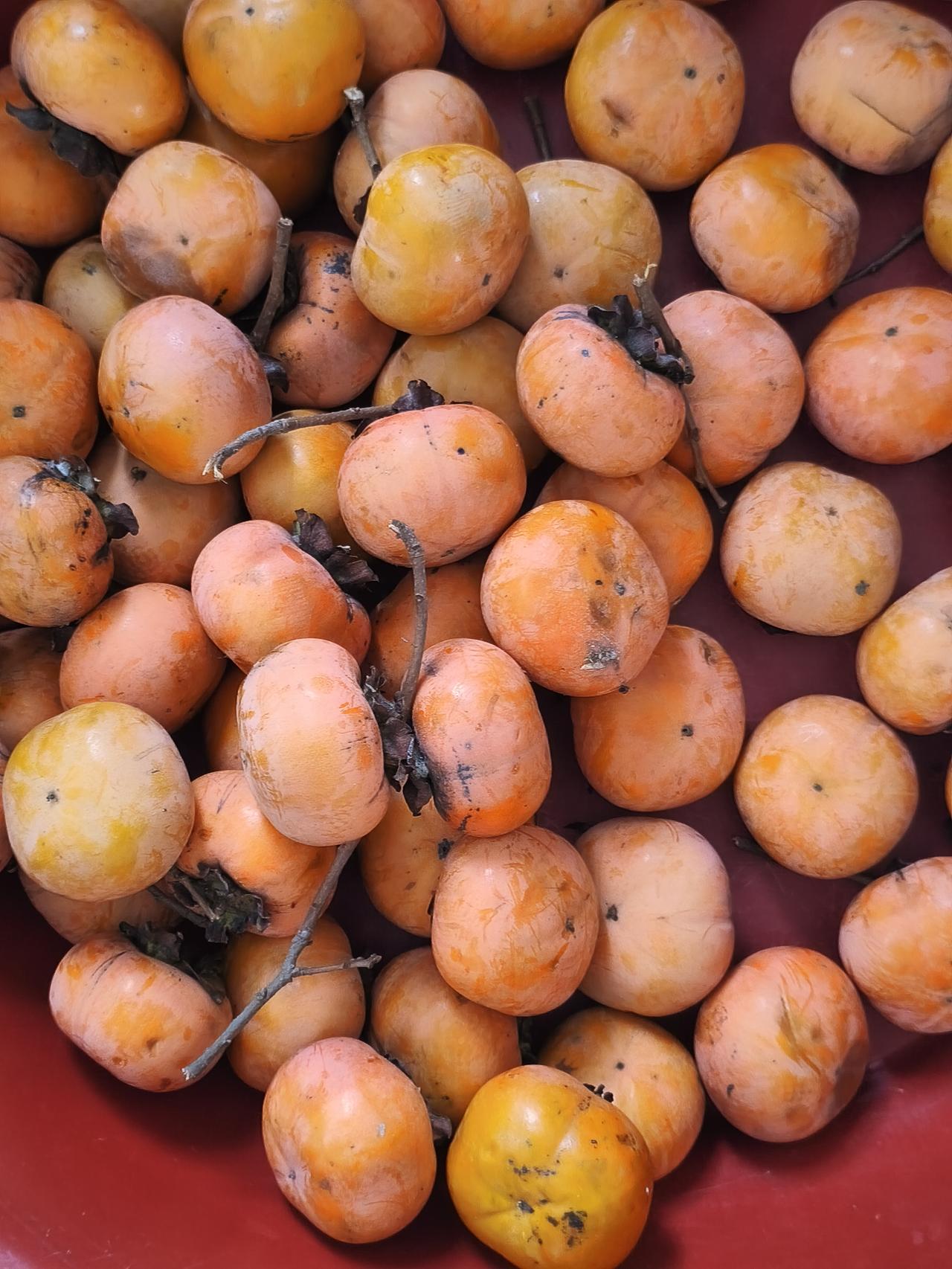 存钱是短期资金的积累，应对日常开销和小目标，灵活但增值慢，难以抵御重大风险。
