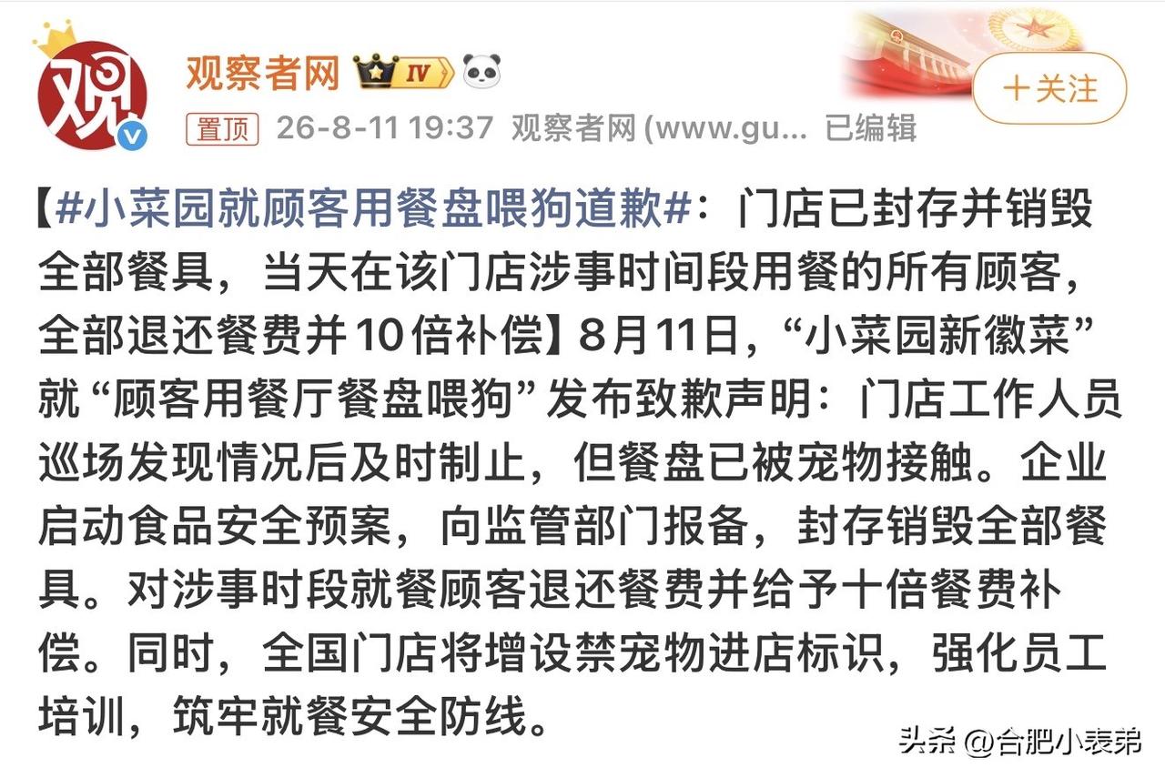 依据合肥养犬条例，室内餐饮店严禁宠物入内，门店都会主动劝阻，违规还会处罚，从源头