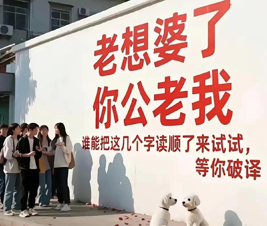 请教一下高手，怎么能把这几个字读顺了？