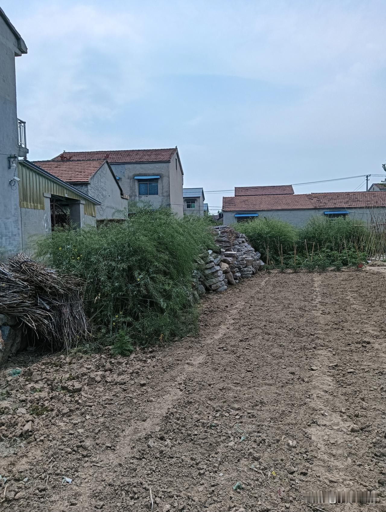 乡村小路，绿意盎然，静谧美好。