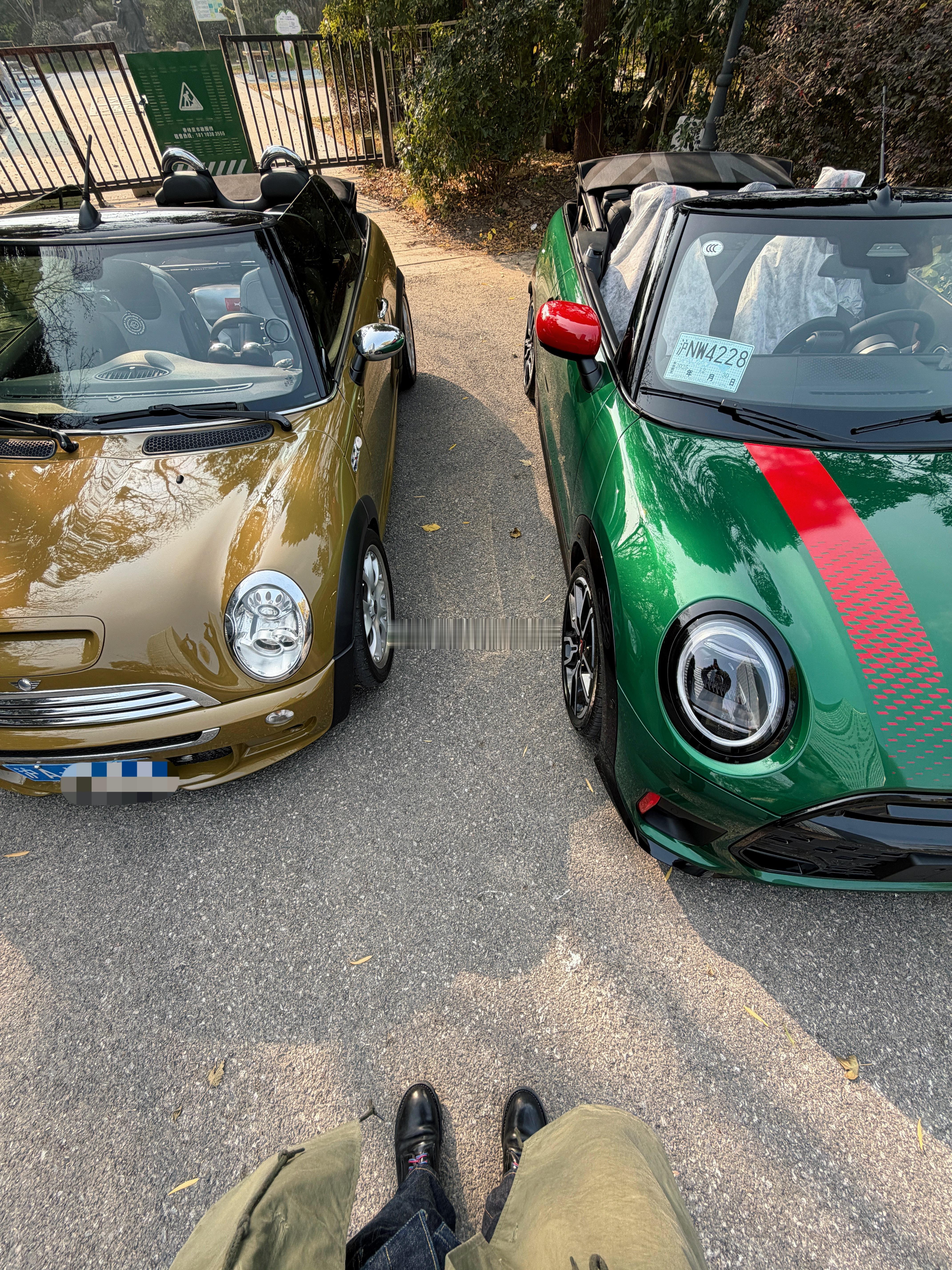 不一样的绿色🍀梦想家ALI